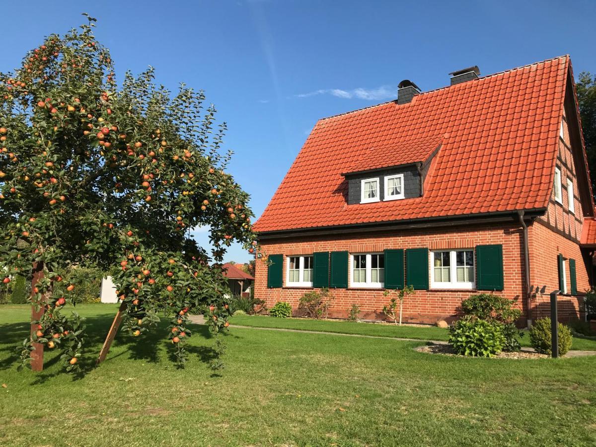 Ferienhaus-Eschede エクステリア 写真