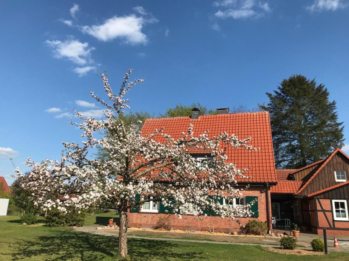 Ferienhaus-Eschede エクステリア 写真
